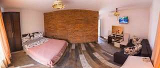 Гостевой дом Pensiunea Brici Клуж-Напока Двухместный номер с 1 кроватью или 2 отдельными кроватями-14