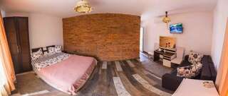 Гостевой дом Pensiunea Brici Клуж-Напока Двухместный номер с 1 кроватью или 2 отдельными кроватями-2